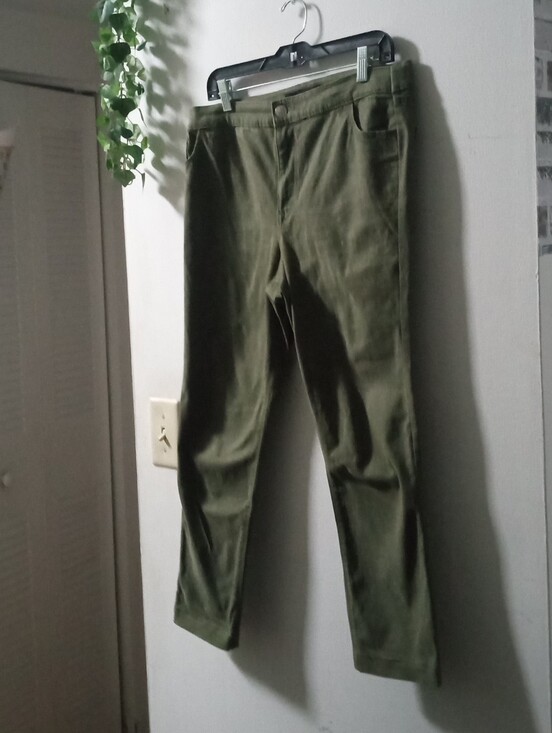 Express Pants - Express  Olive Cropped Pants XL
